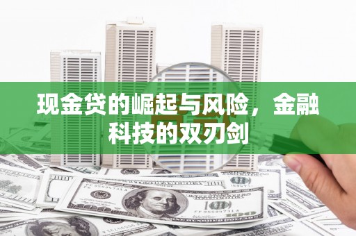 邵阳县现金贷的崛起与风险，金融科技的双刃剑