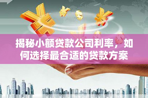 云霄揭秘小额贷款公司利率，如何选择最合适的贷款方案