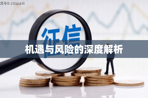 鄯善机遇与风险的深度解析