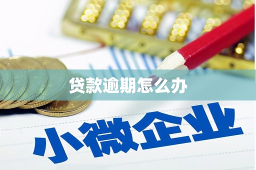巴塘贷款逾期怎么办