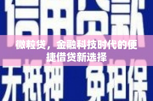 南陵微粒贷，金融科技时代的便捷借贷新选择