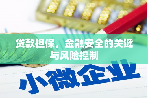 舟山新区贷款担保，金融安全的关键与风险控制