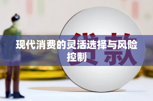 平南现代消费的灵活选择与风险控制