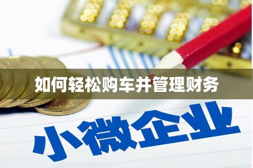 普湾新区如何轻松购车并管理财务