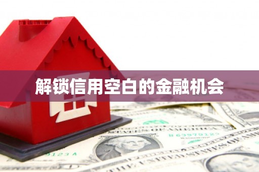 思南解锁信用空白的金融机会